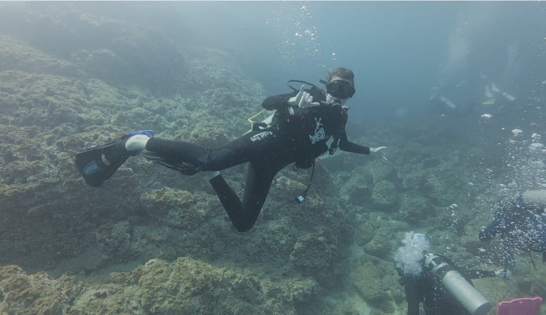 Rocket Frog Divers-Playas del Coco必去景点
