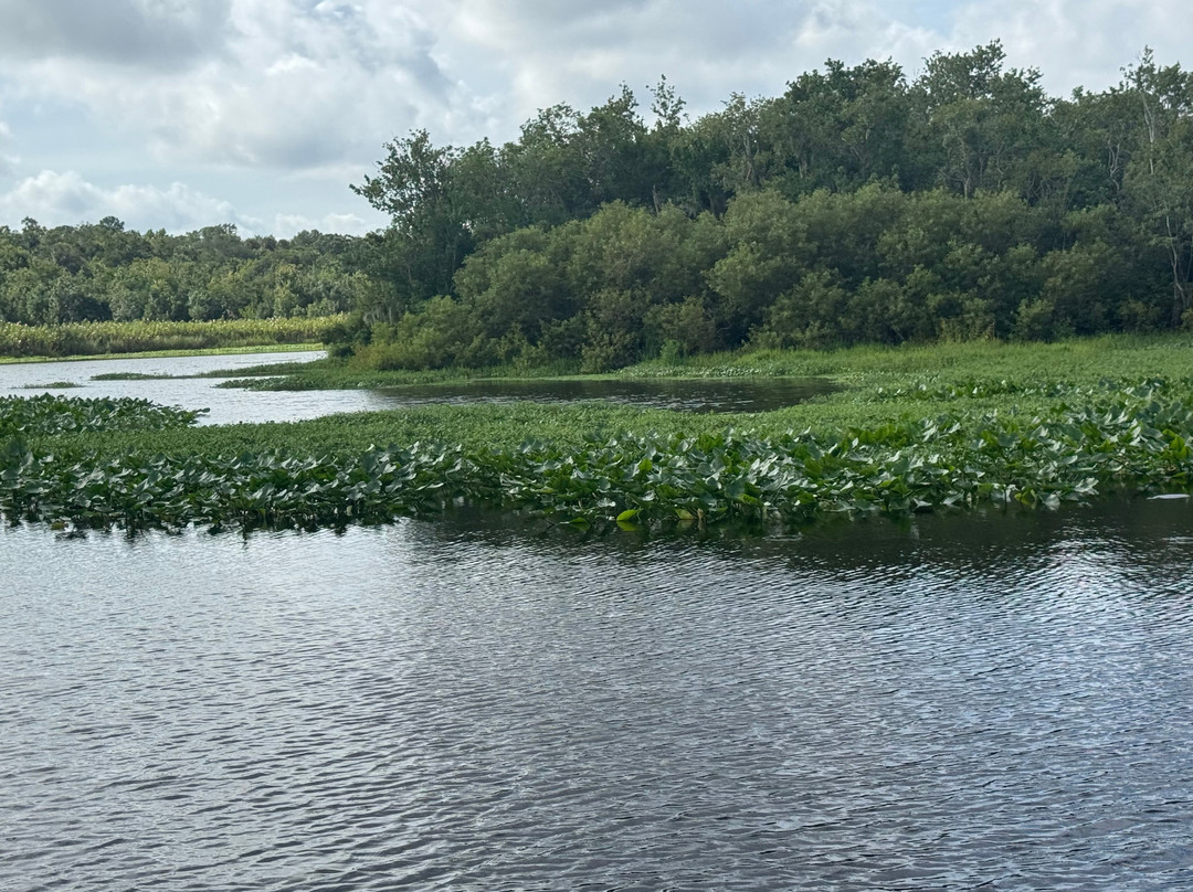 St. John's River Eco Tours, LLC-DeBary必去景点