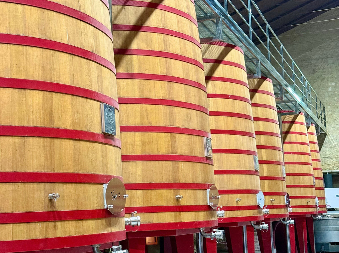 Bodegas Marques de Riscal-Elciego必去景点
