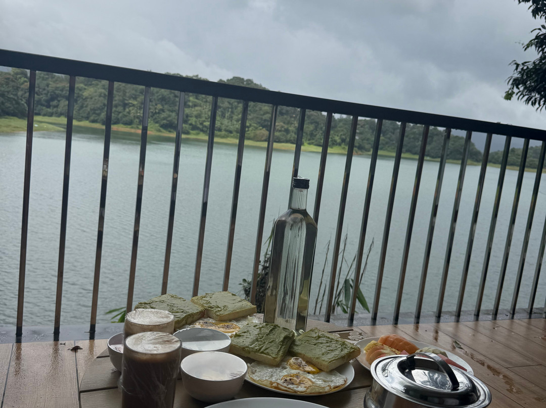 瓦亚纳德银树林酒店主图