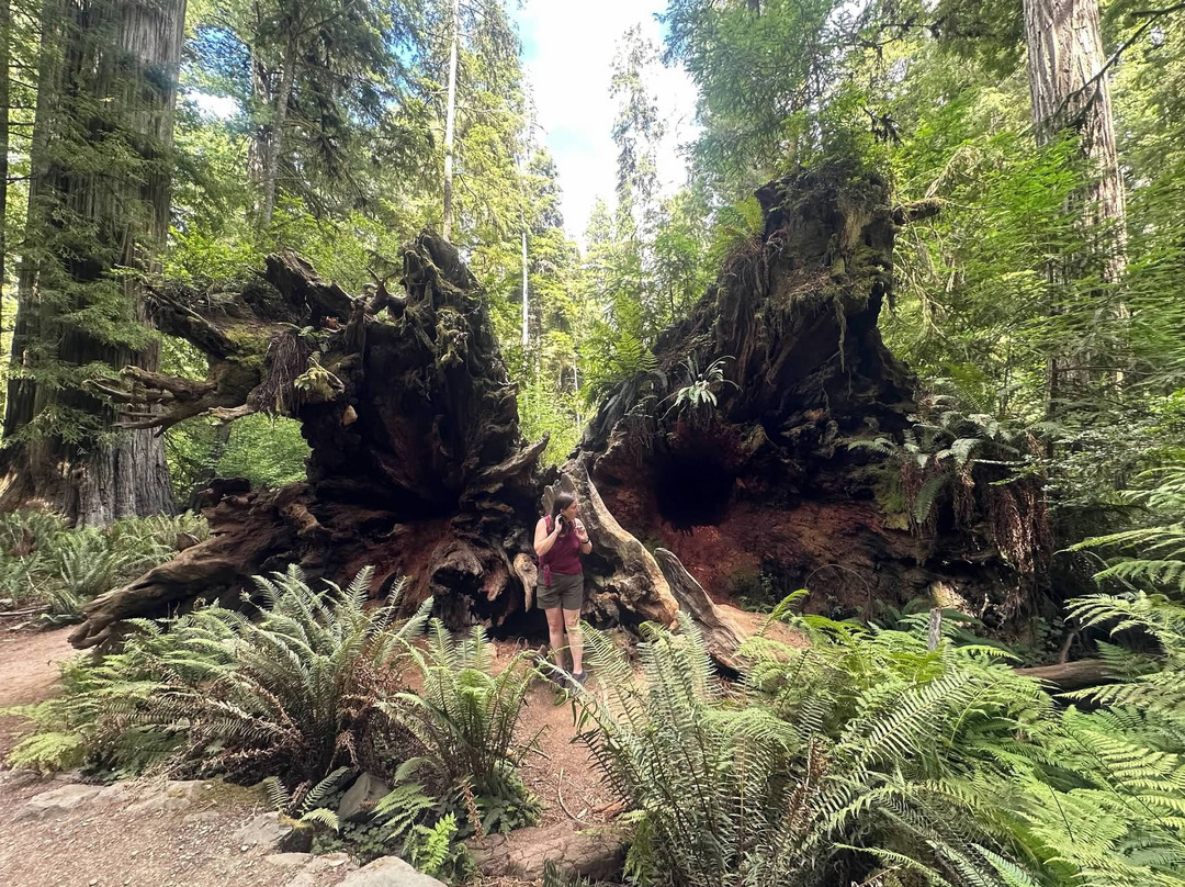 Simpson-Reed Trail-克雷森特城必去景点