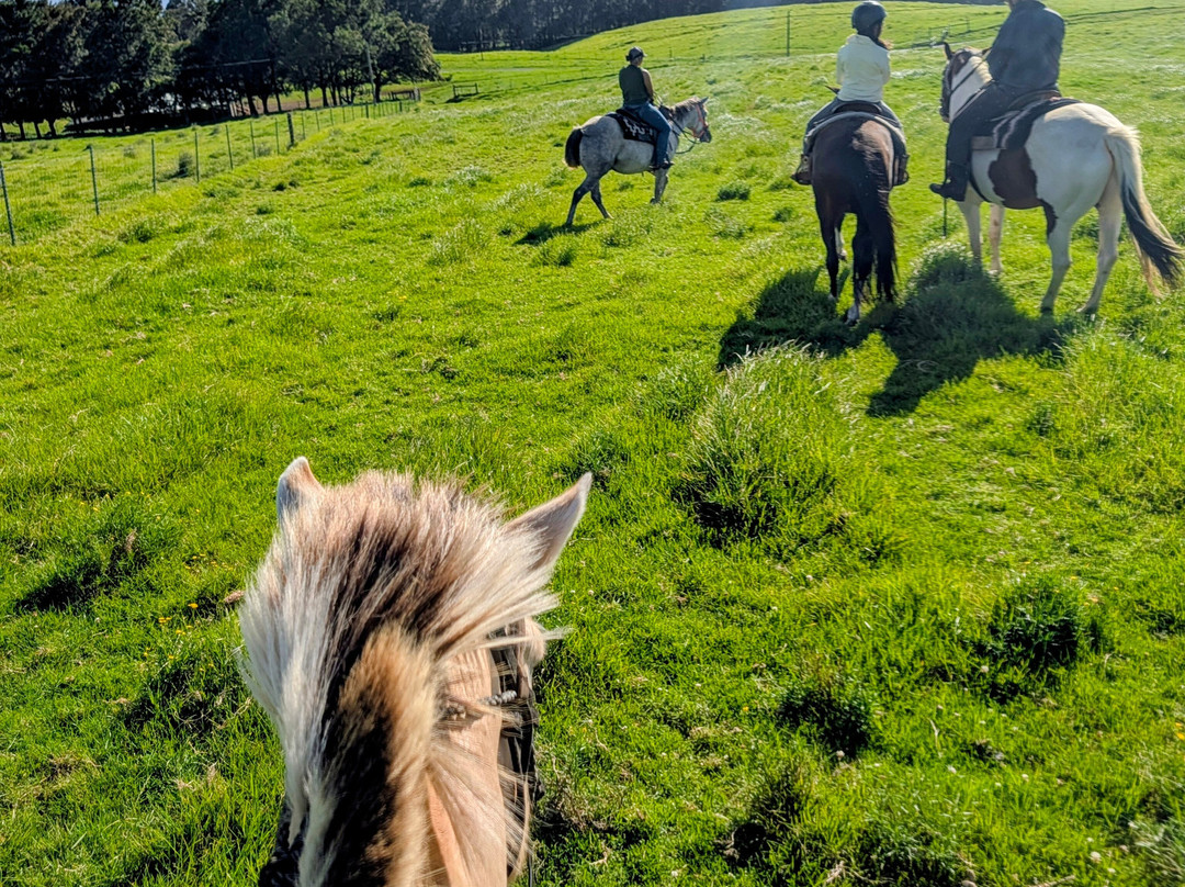 Na'alapa Stables - Kahua Ranch-卡慕也拉必去景点