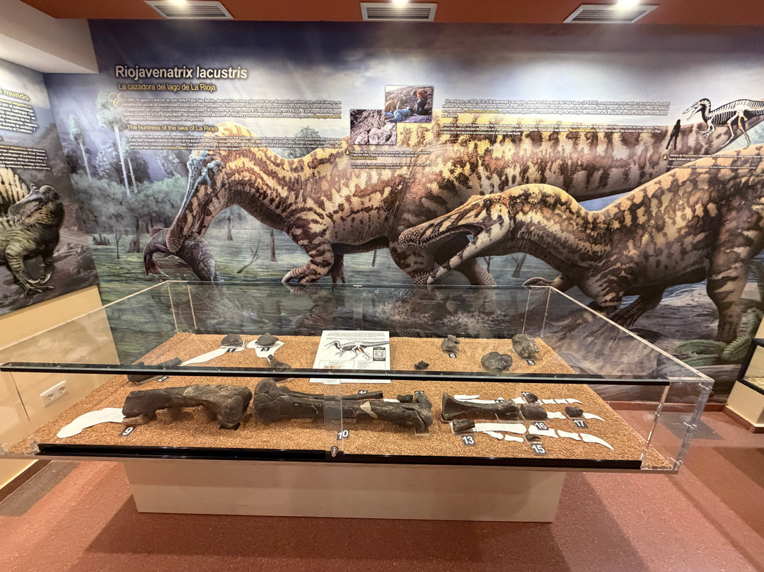 Centro de Interpretacion Paleontologica de La Rioja-Igea必去景点