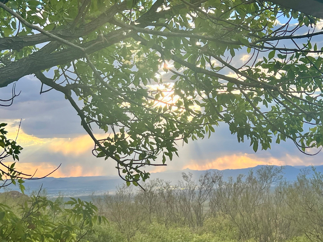Dripping Springs Natural Area-拉斯克鲁塞斯必去景点