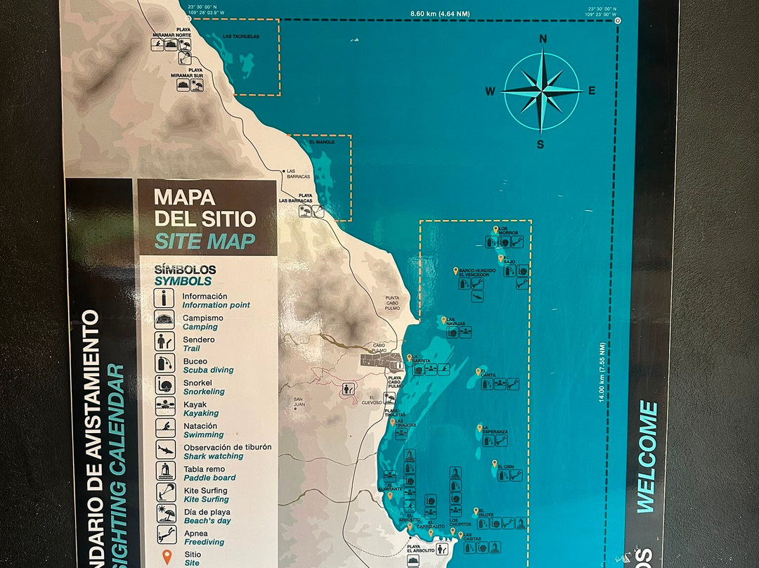 Cabo Pulmo Travel-Cabo Pulmo必去景点