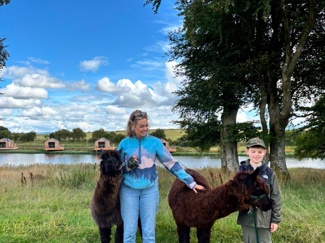 Alpacaly Ever After-Portinscale必去景点
