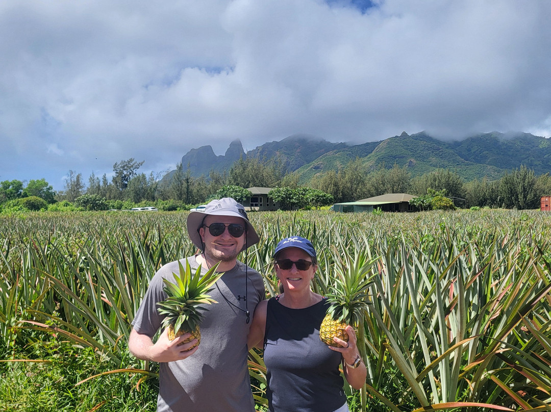 Sugarloaf Pineapple Farm-基拉韦厄必去景点