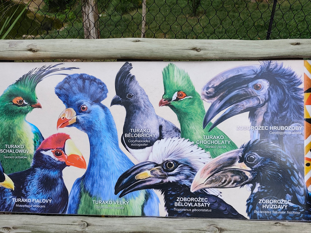 ZOO and Castle Zlin - Lesna-兹林必去景点