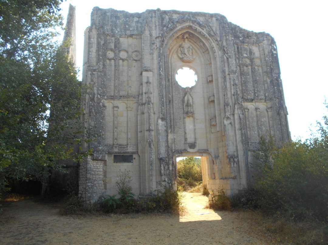 Ruines du Château Et De La Collégiale des Roches-Tranchelion-Avon-les-Roches必去景点