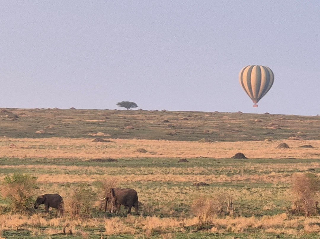 Balloon Safaris Ltd.-马赛马拉国家野生动物保护区必去景点