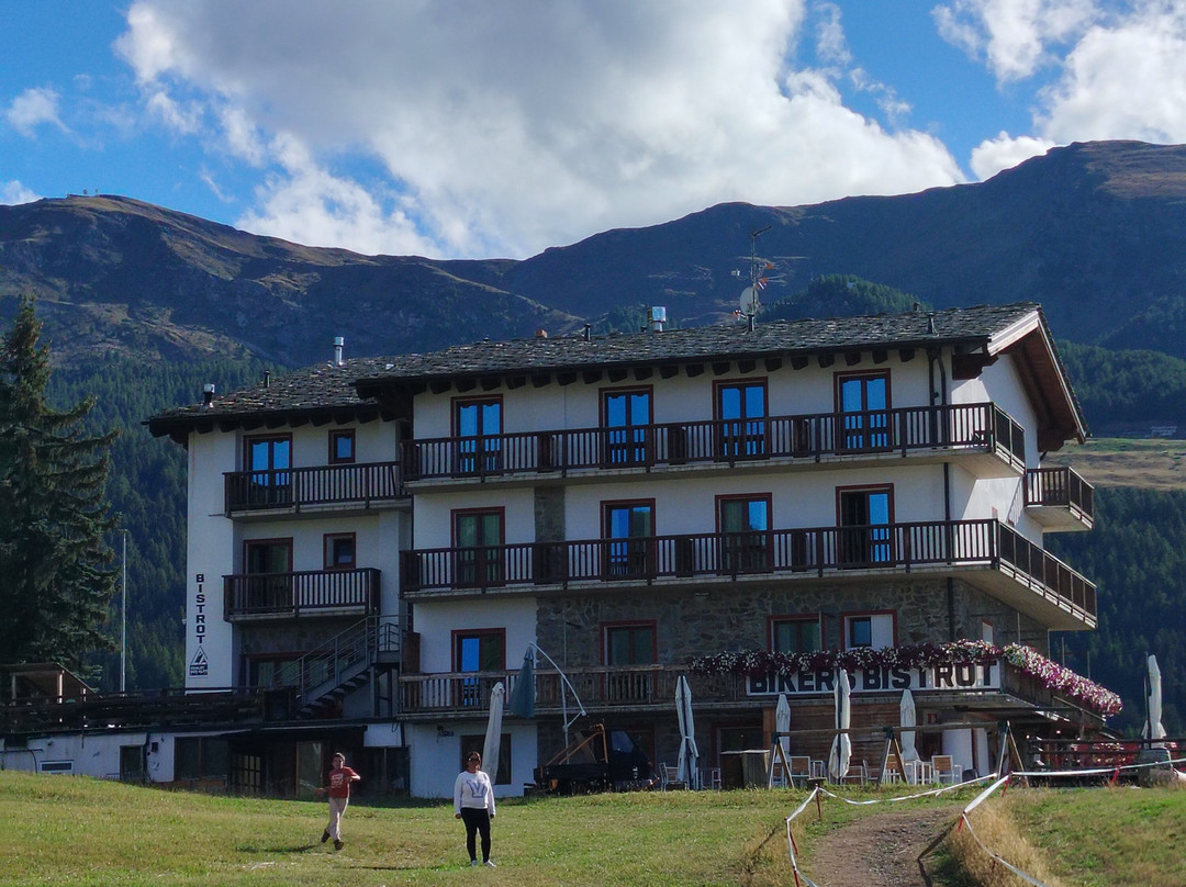 阿尔卑斯小木屋酒店主图
