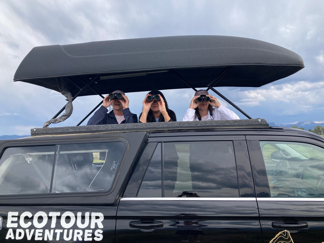 Jackson Hole Eco Tour Adventures-杰克逊必去景点