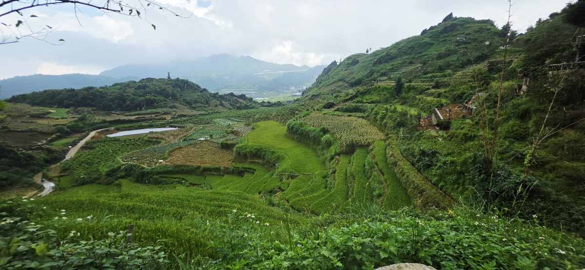 拉克斯斯克生态旅馆-旅行者