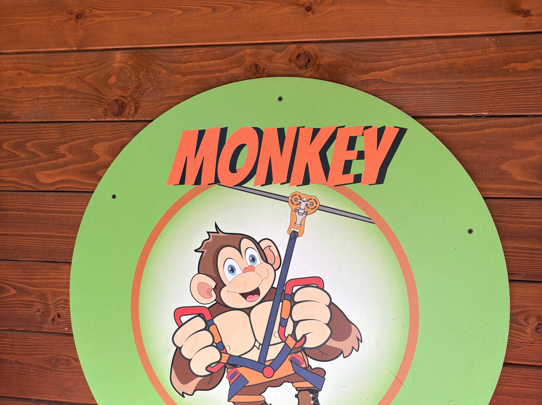 Monkey Park-阿雷塞必去景点
