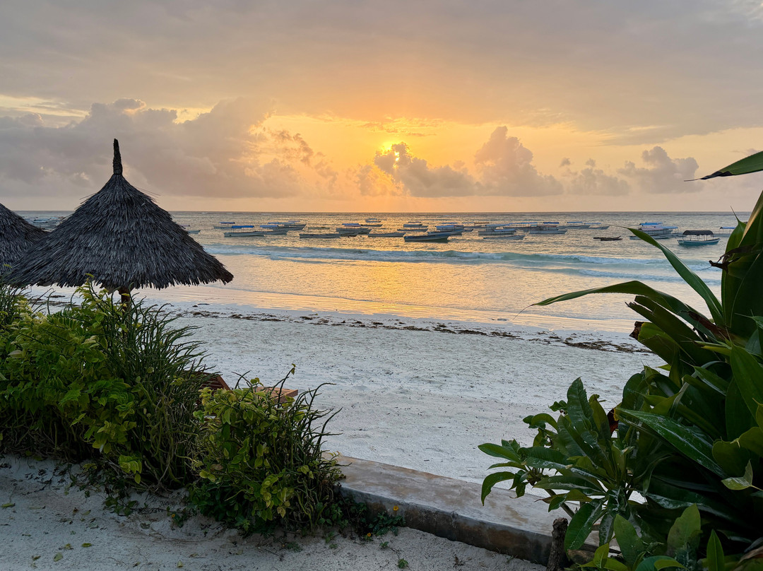 Alladin Beach Hotel and SPA Zanzibar主图