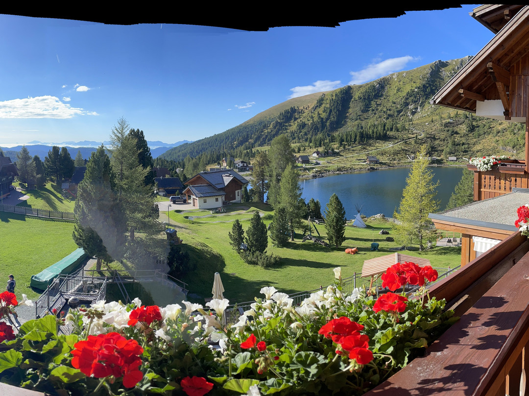 Heidi-Hotel Falkertsee - Kinderhotel主图