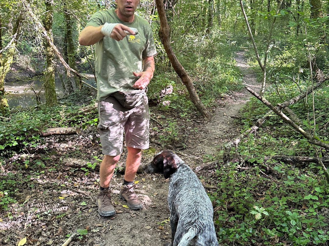 Truffle Hunting-Motovun必去景点