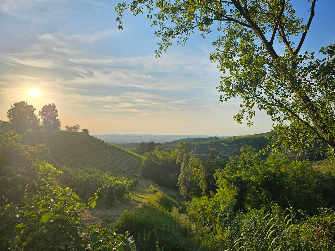 Vietti-Castiglione Falletto必去景点