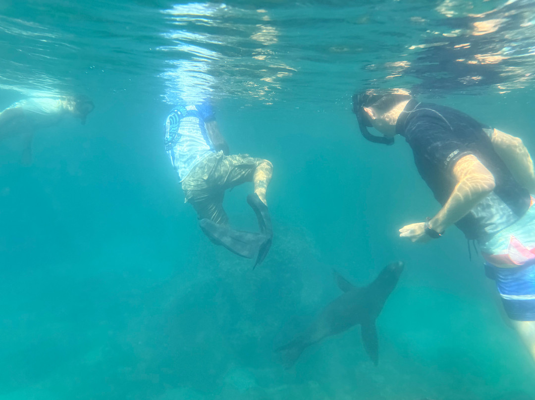 Eco-Challenger Galapagos Tour Agency-圣克里斯托瓦尔必去景点