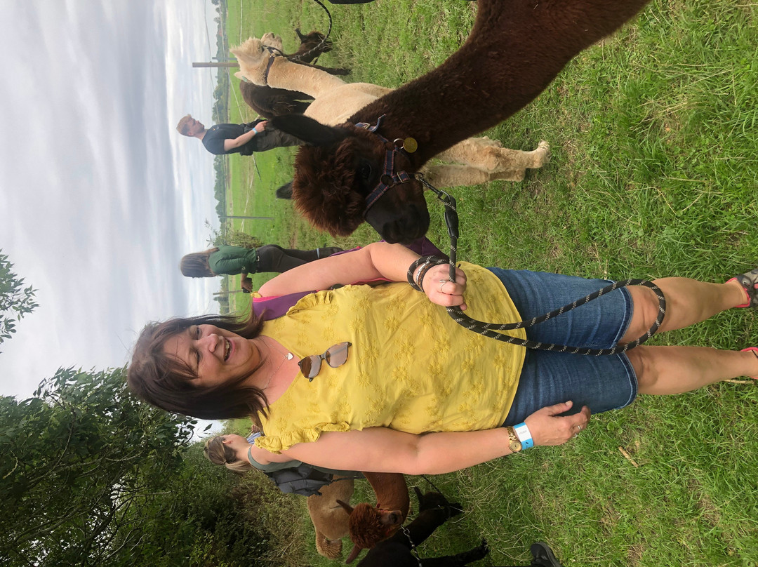 Charnwood Forest Alpacas-Boundary必去景点
