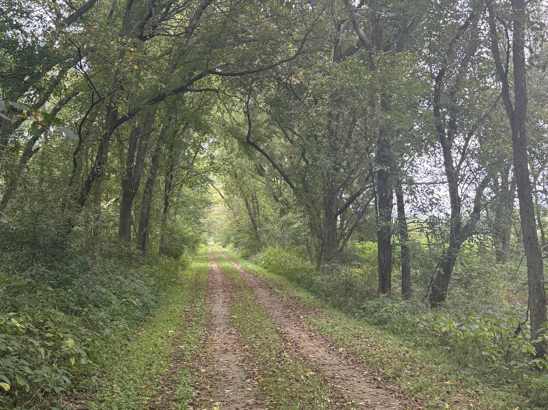 Red Cedar State Trail-Menomonie必去景点