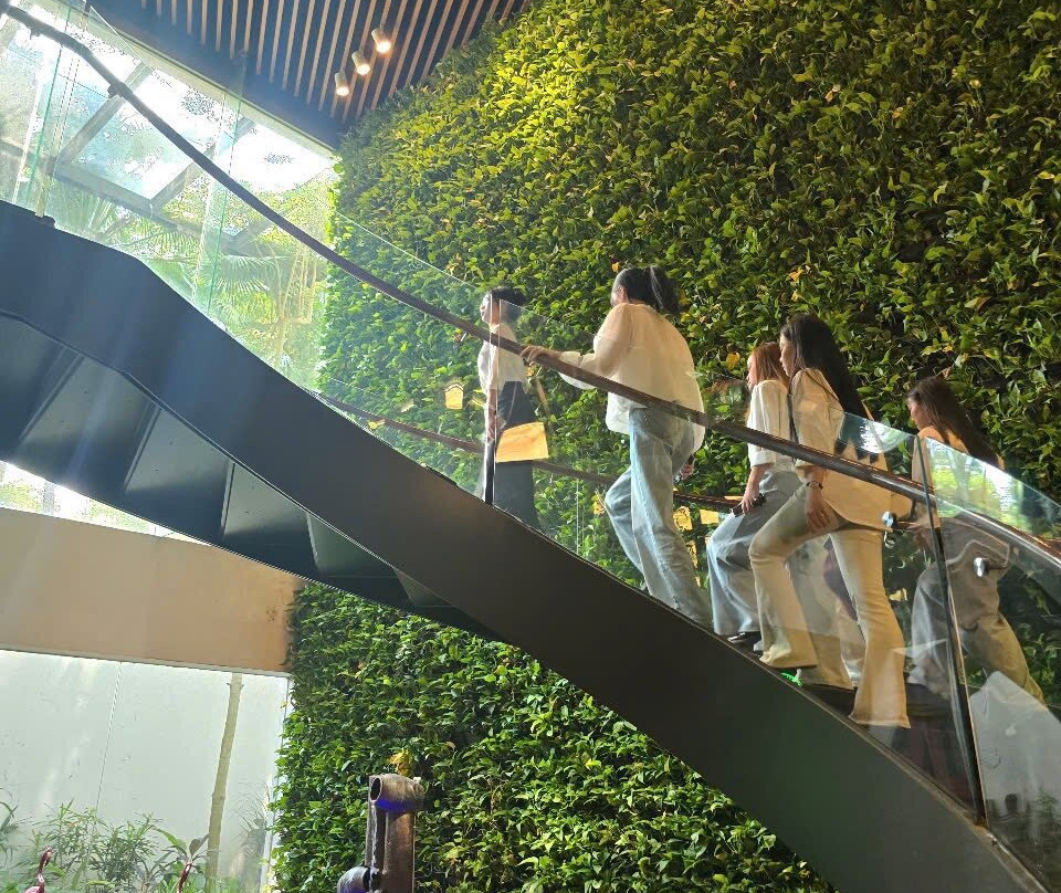 戴丽火烈鸟度假酒店主图