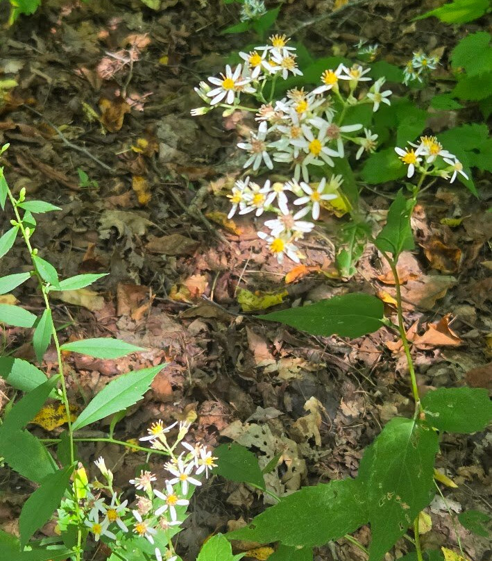 Chautauqua Gorge State Forest-Mayville必去景点