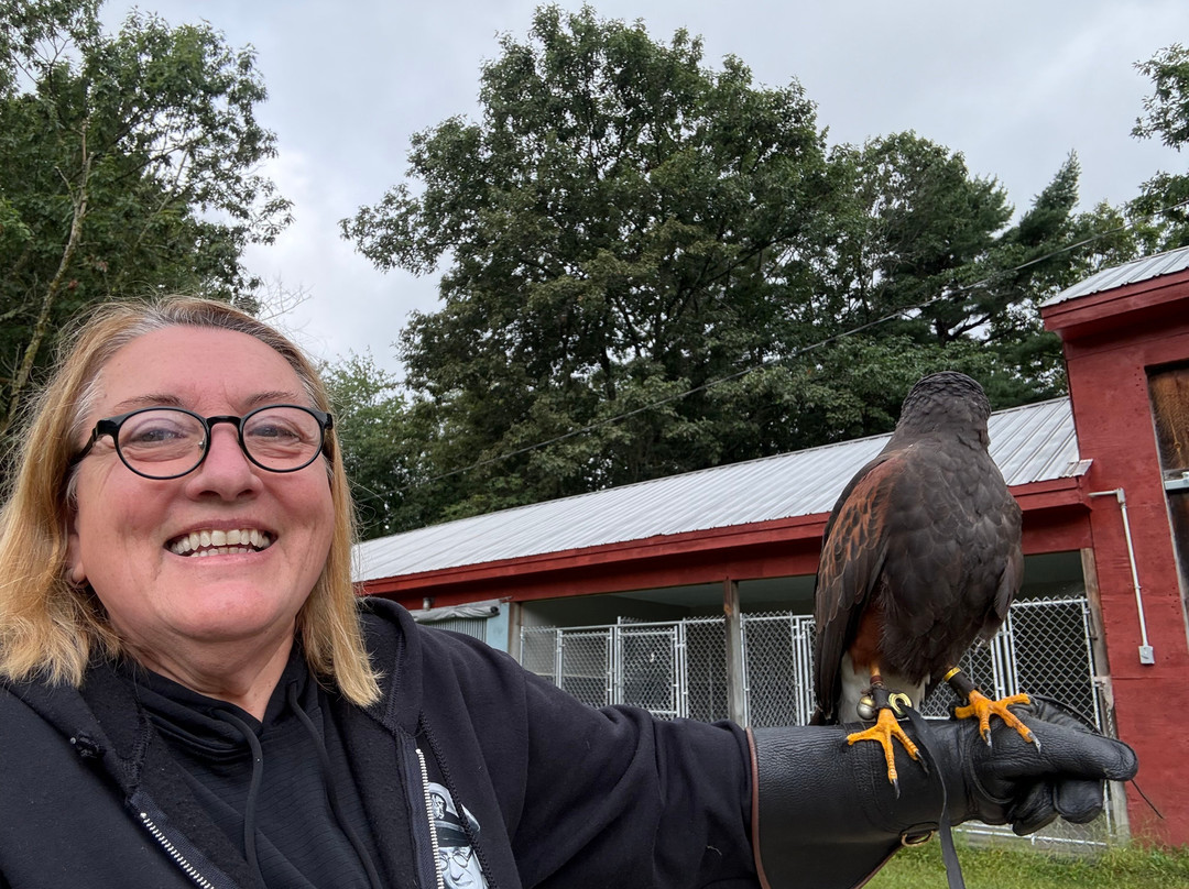 Monadnock Falconry-Temple必去景点