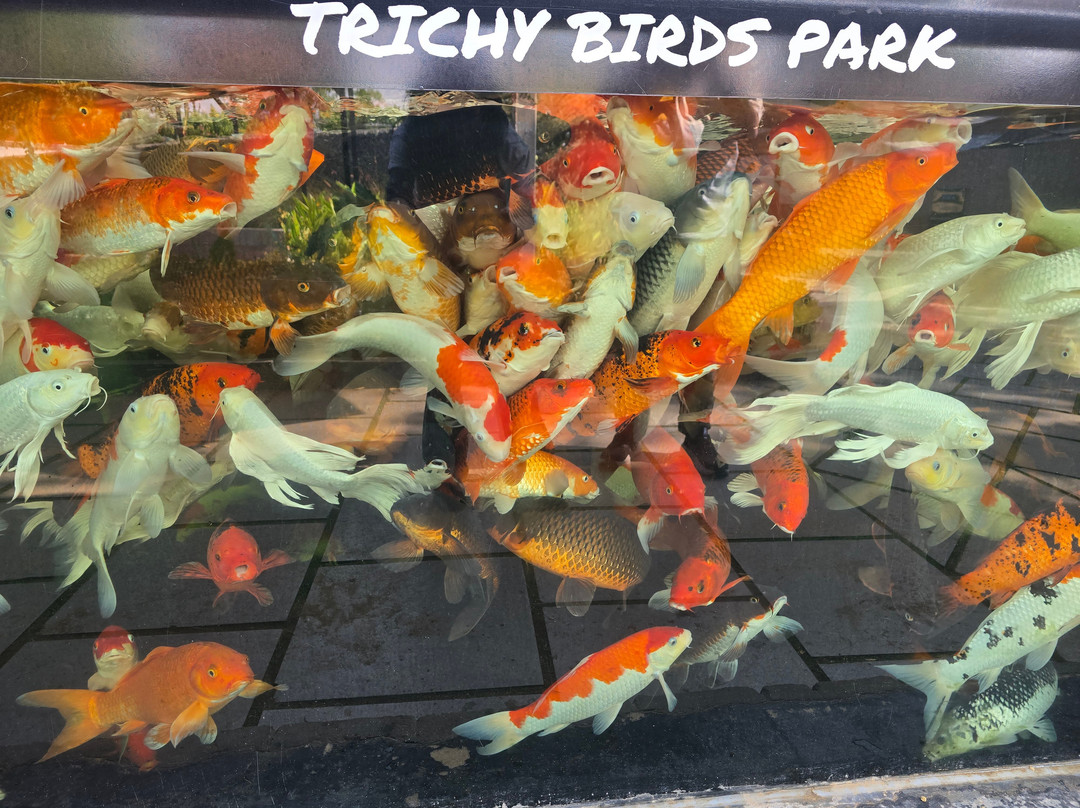 Trichy Birds Park-Tiruchirappalli District必去景点