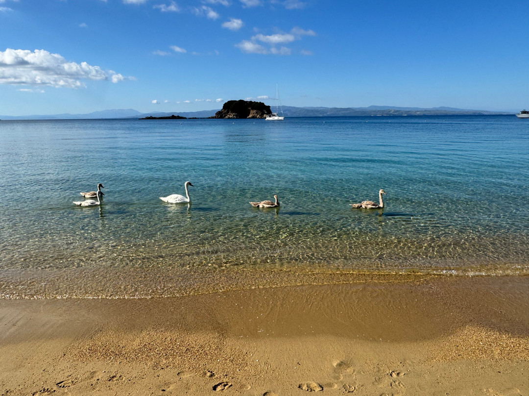 Troulos Beach-Troulos必去景点
