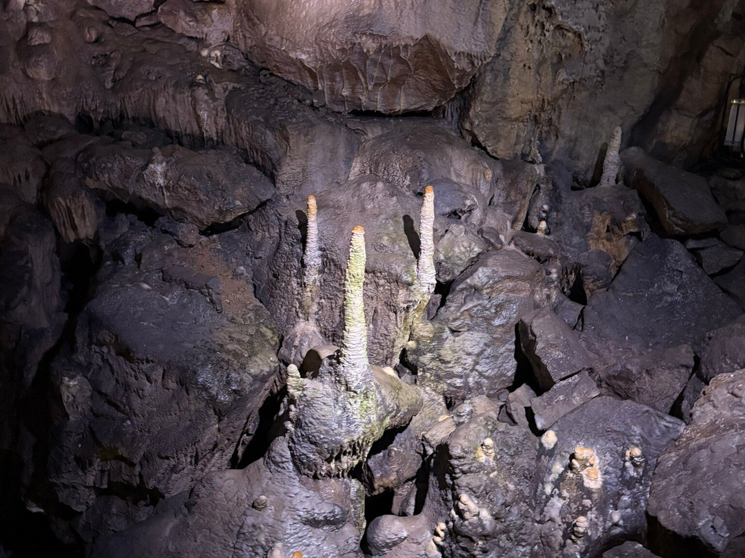 Poole's Cavern & Buxton Country Park-巴克斯顿必去景点