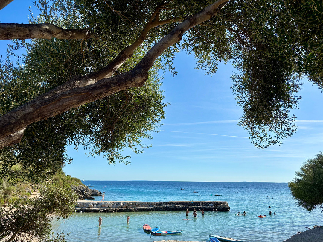 Olea camping