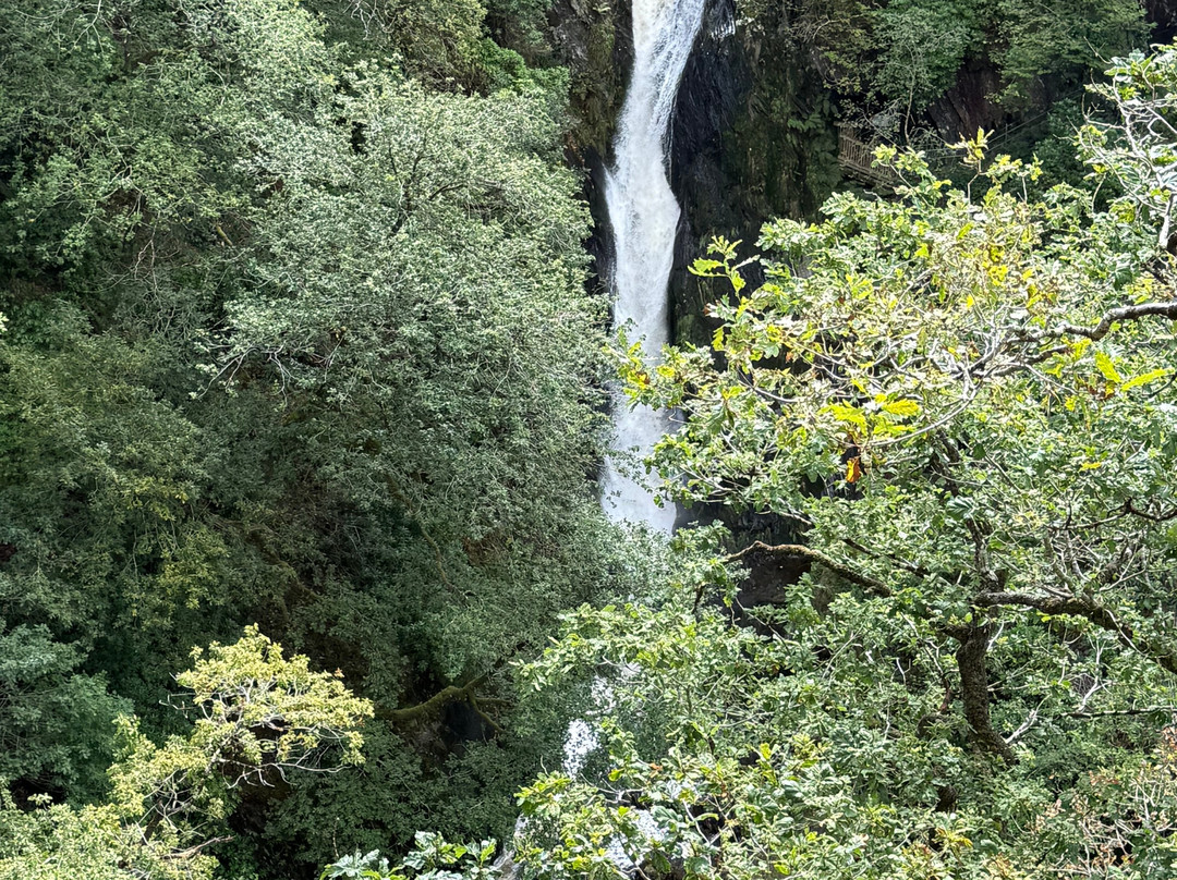 Devil's Bridge Waterfalls-Devil's Bridge (Pontarfynach)必去景点