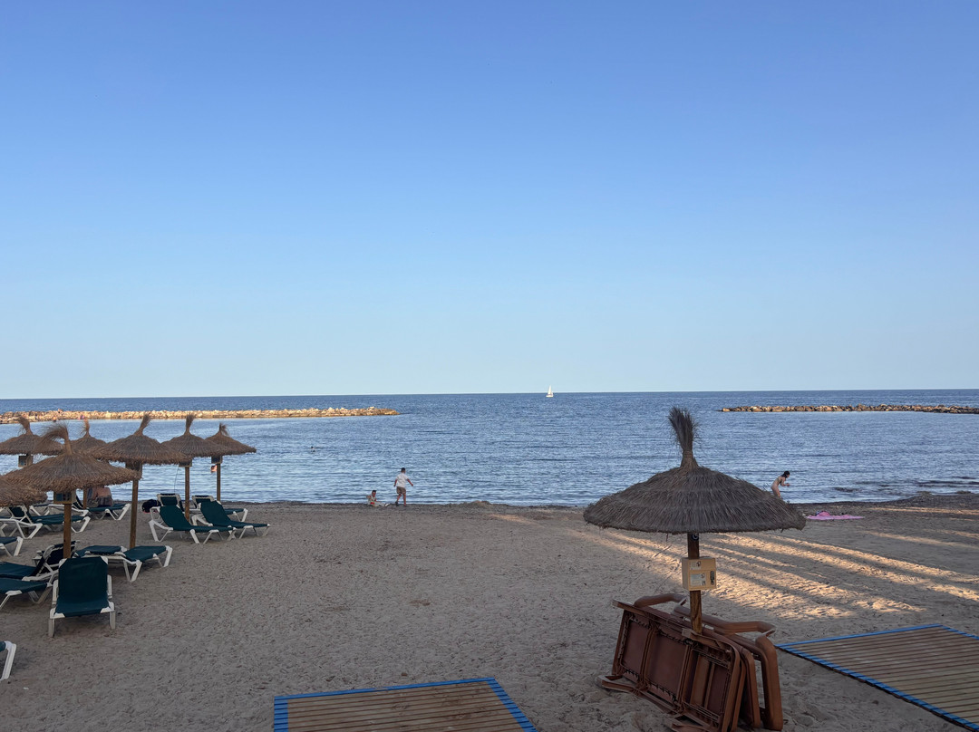 Protur Bonaire Aparthotel主图