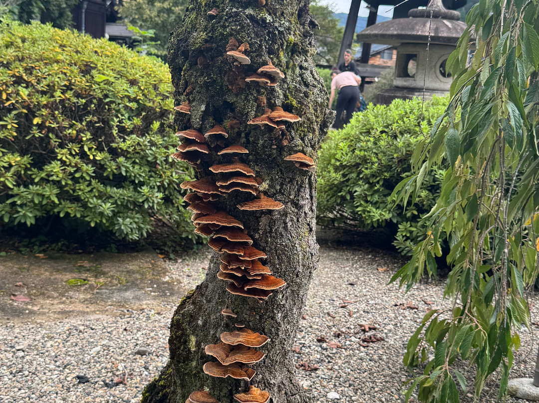 三町街-高山市必去景点