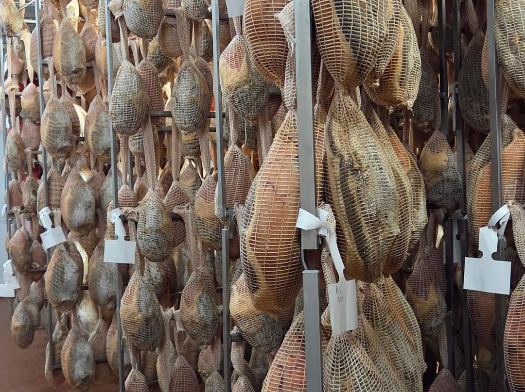 Salumificio Conti-Langhirano必去景点