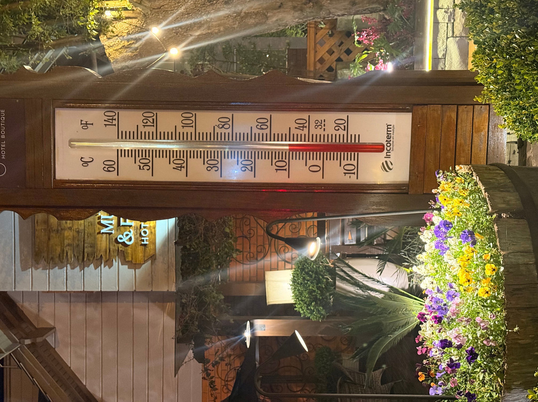 穆勒大叔小屋酒店主图