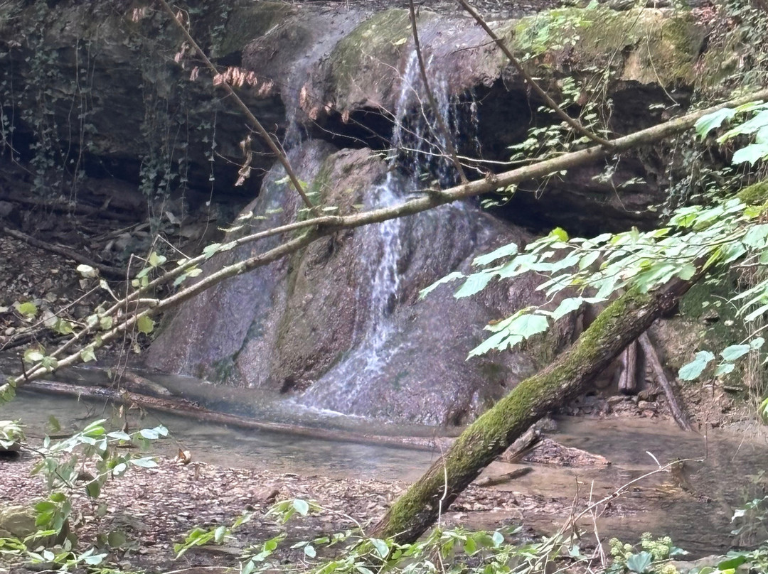 Cascate del Bucamante-Serramazzoni必去景点