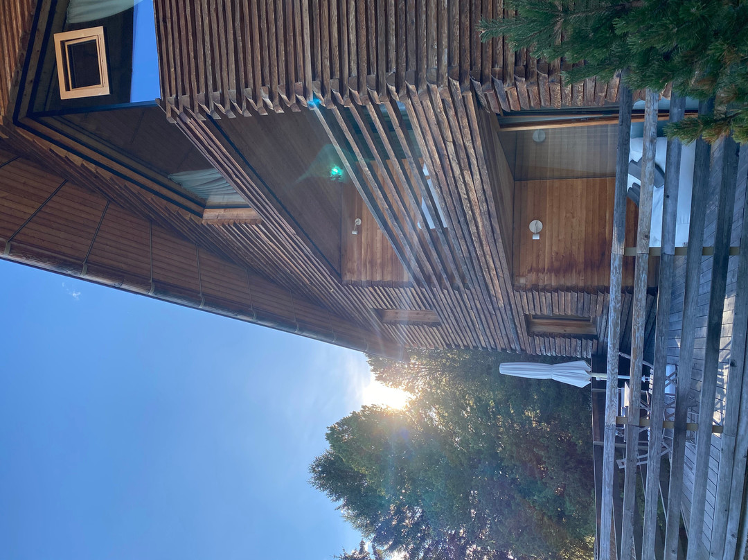 福雷斯蒂斯酒店Forestis Dolomites（意大利）主图