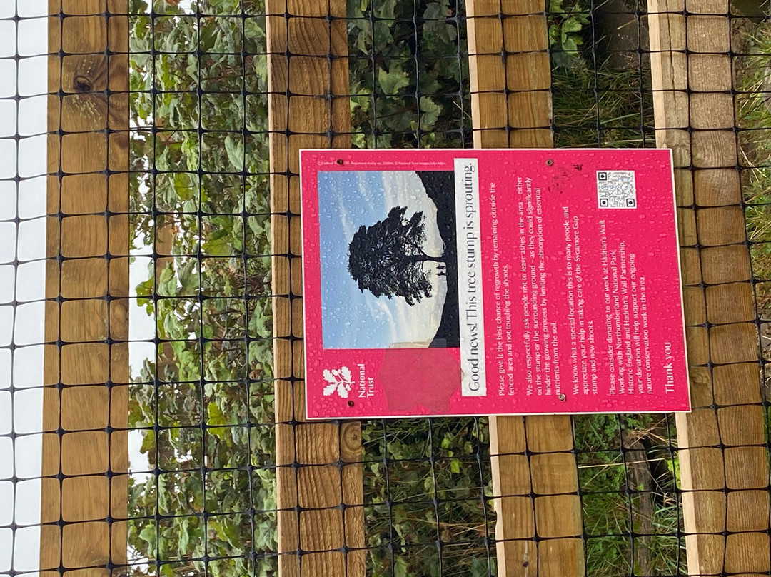 Saughy Rigg Farm主图