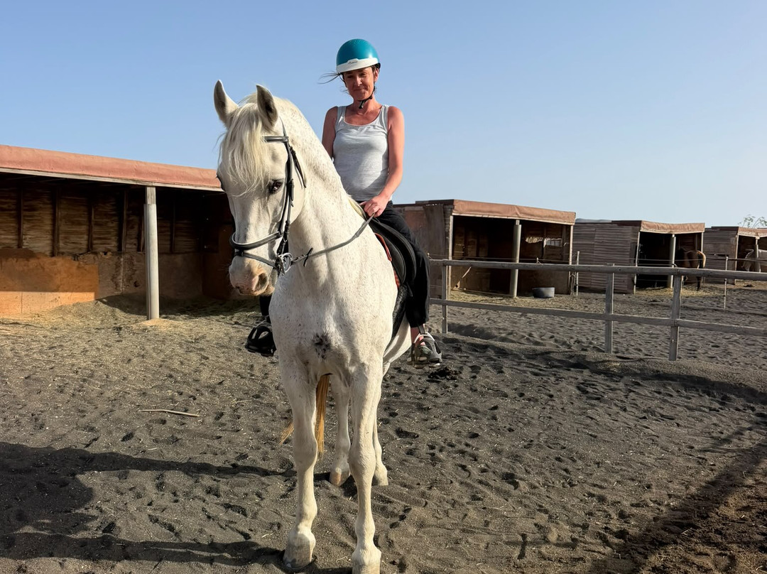 Horses Lanzarote-Teseguite必去景点
