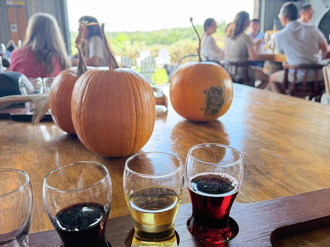 Giraffe Winery at Grapetown Vineyard-弗雷德里克斯堡必去景点