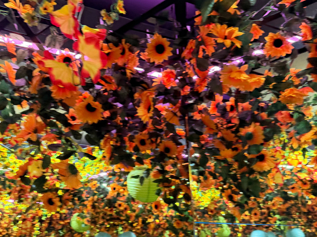 Museum of Illusions Durban-德班必去景点