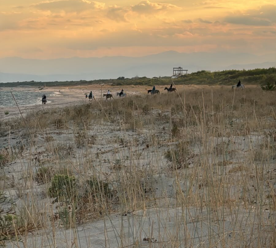Family Horses 373-5361953-Marina di Ginosa必去景点