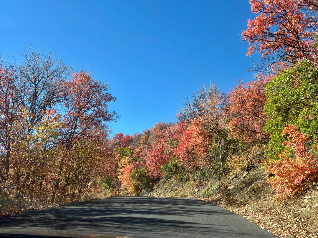 Wasatch Mountain State Park-Midway必去景点