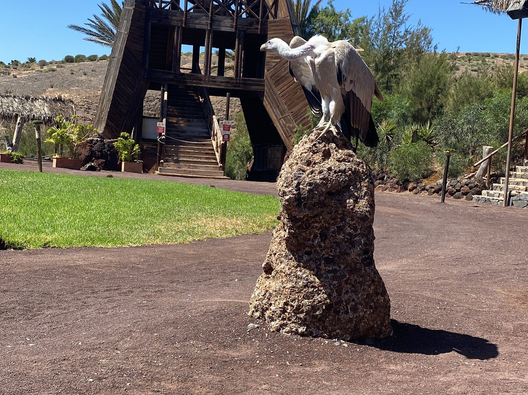 Oasis Park Fuerteventura-La Lajita必去景点