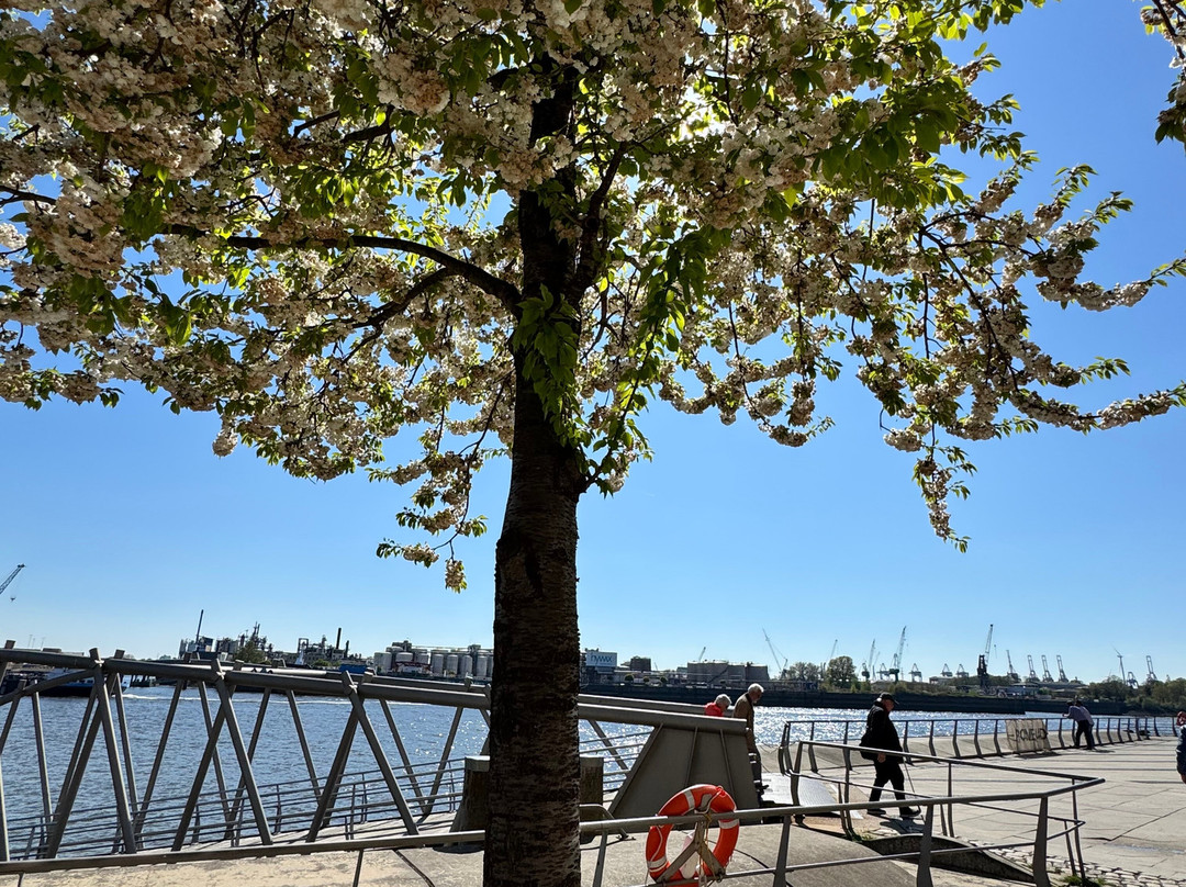 HafenCity-汉堡必去景点