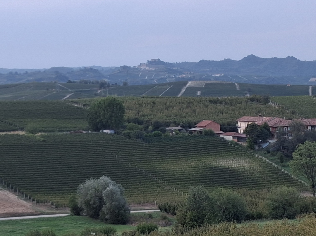 Il Vigneto Di Roddi主图