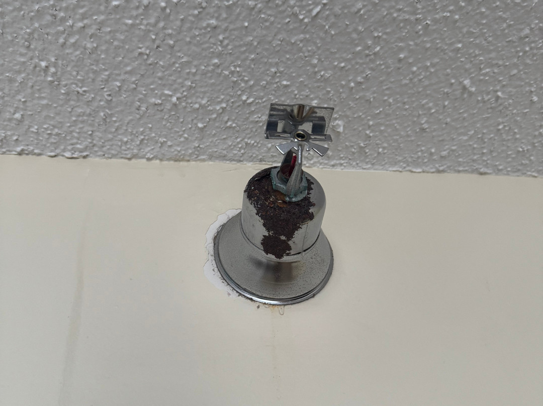 泰碧酒店主图