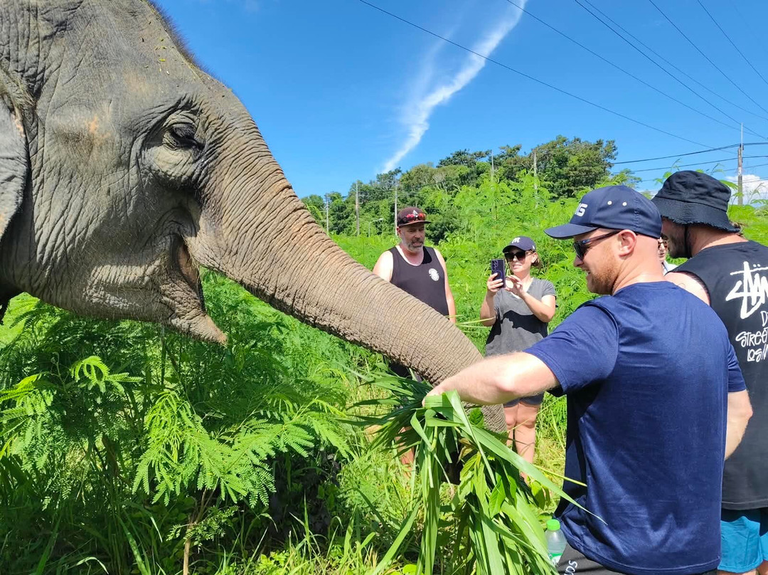 The Lake Phuket Elephant Home-Thep Krasatti必去景点